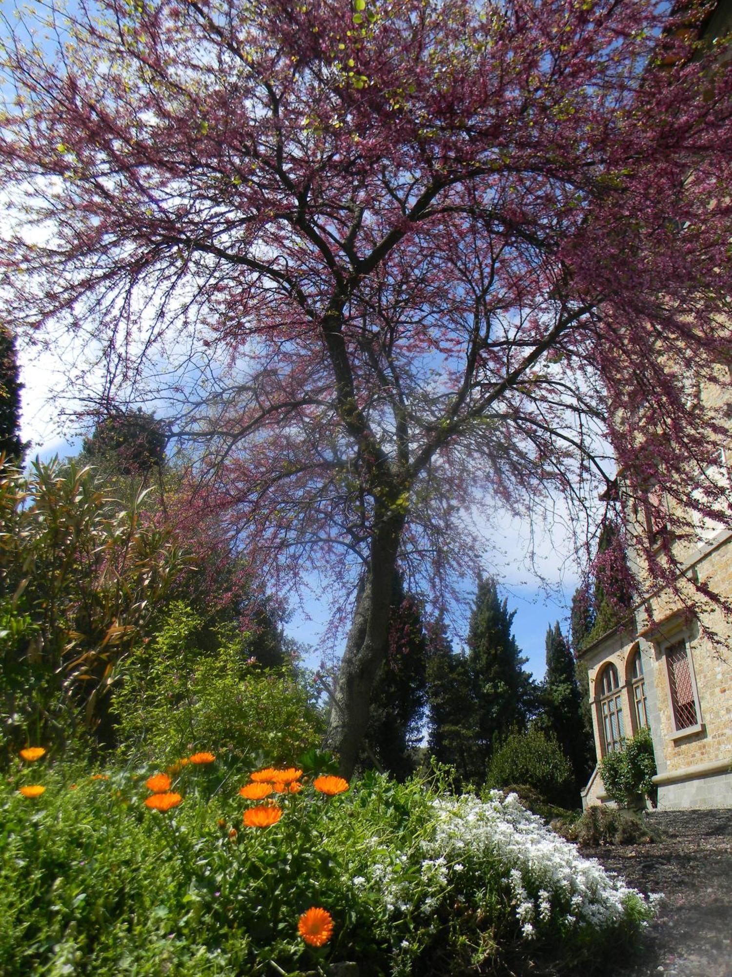 Villa Le Querciolaie Monteverdi Marittimo Exteriér fotografie